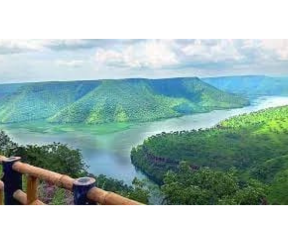 Octopus view point